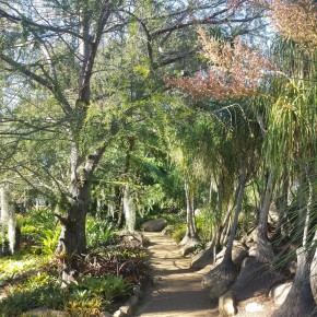 Lotus Land Gardens