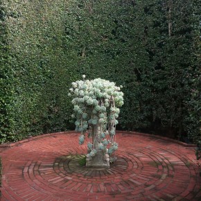 Lotus Land Gardens Succulent Fountain