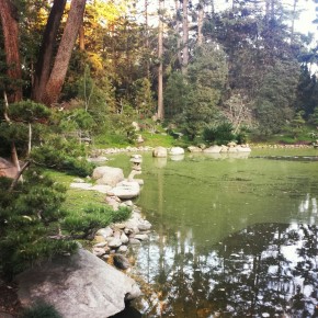 Lotus Land Zen Garden
